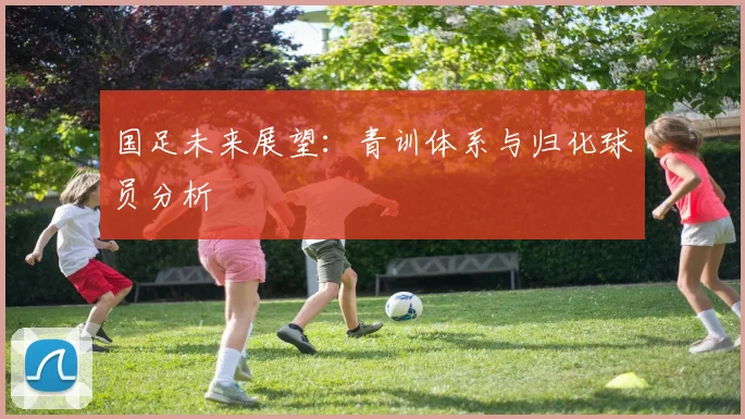 国足未来展望：青训体系与归化球员分析
