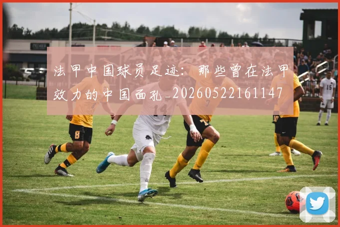 法甲中国球员足迹：那些曾在法甲效力的中国面孔_20260522161147